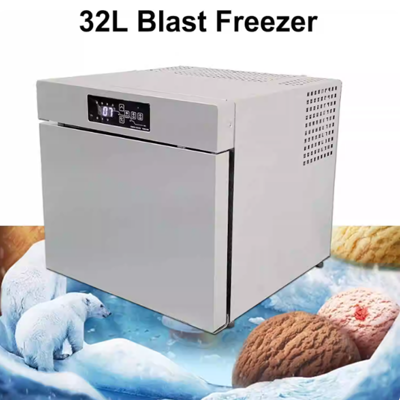Commercial Chest Freezer - فريزر المأكولات البحرية السريعة منخفض ما